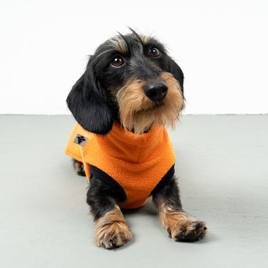 FLEECE SHIRT Dackel Orange