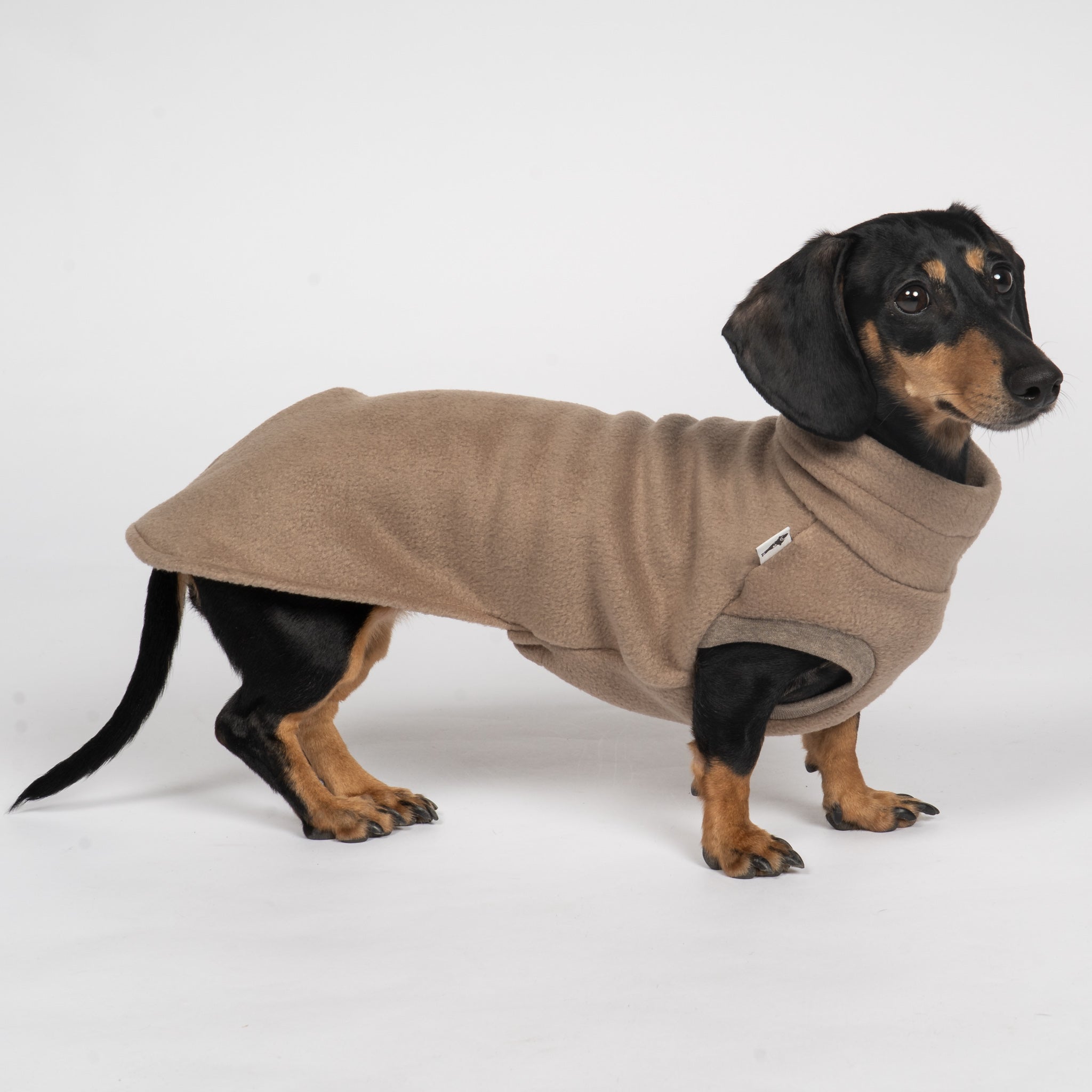 Fleece Shirt Dackel Walnut – hochwertige Hundekleidung für Dackel, Windspiele und Windhunde von Karma Hund Berlin – Ganzkörperansicht am Hund