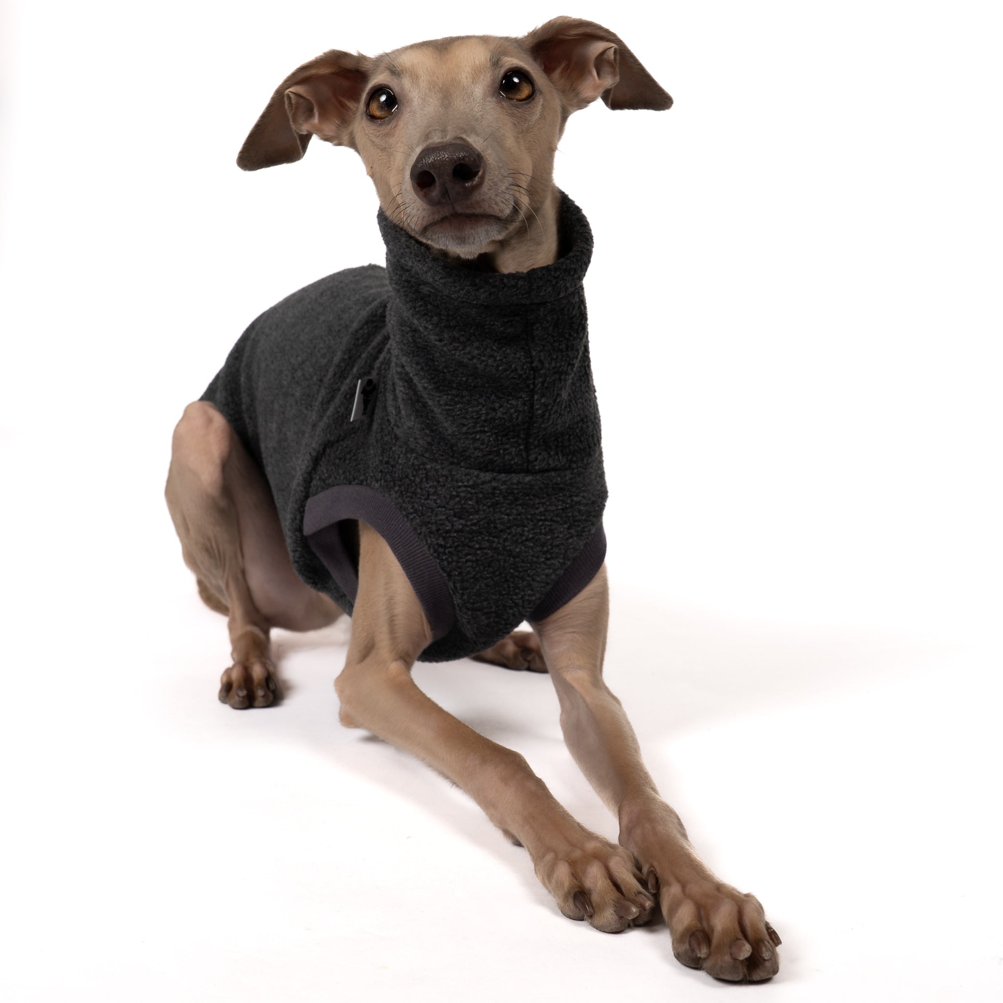 Fleece Shirt Iggy Anthrazit – Close-up am Hund – hochwertige Hundekleidung von Karma Hund