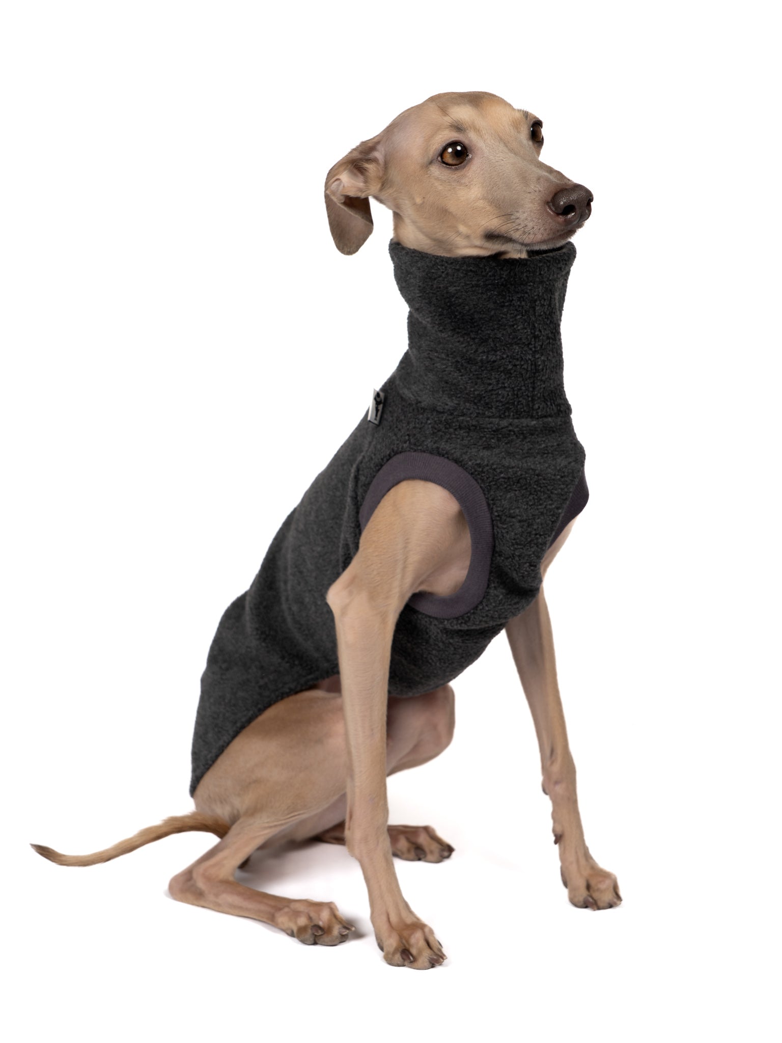Fleece Shirt Iggy Anthrazit – optimale Passform für Windhunde, Windspiele und Dackel