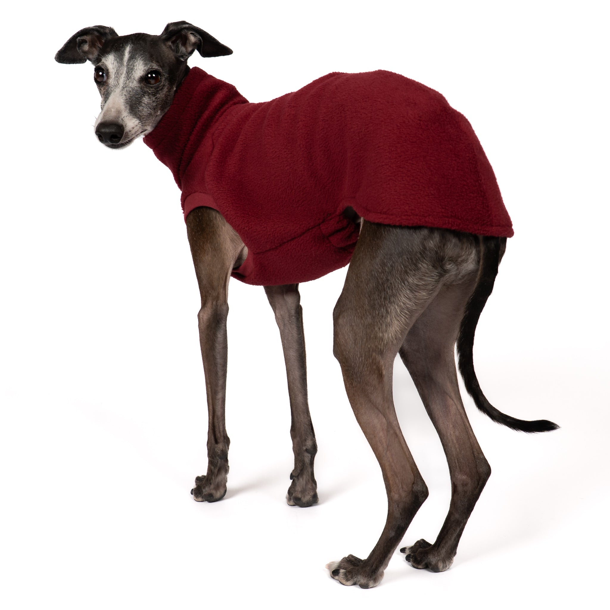 Fleece Shirt Iggy Bordeaux – Hundekleidung für Dackel, Windspiele und Whippets – Rückenansicht