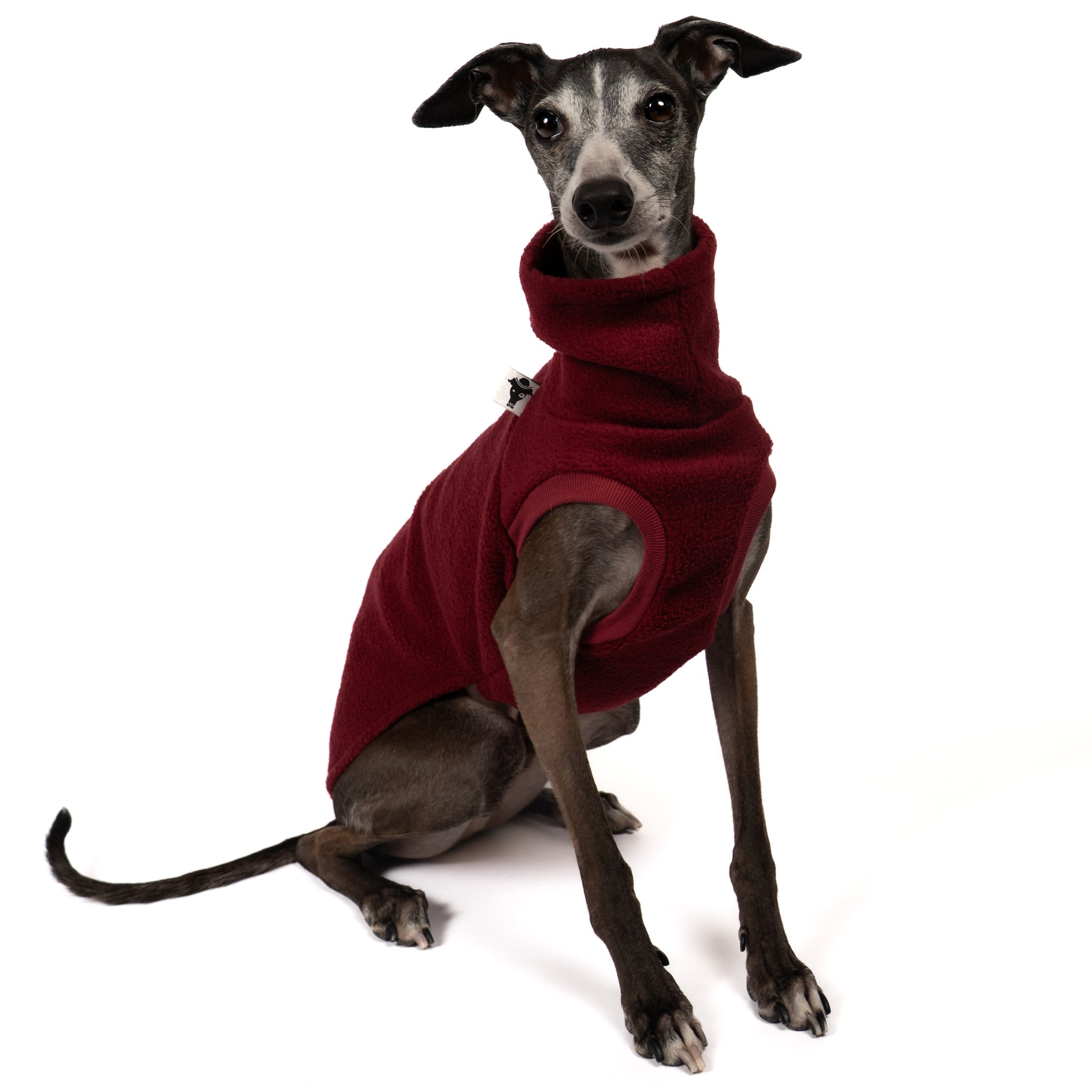 Fleece Shirt Iggy Bordeaux – ergonomischer Schnitt für Dackel und Windspiele – handgefertigte Hundekleidung