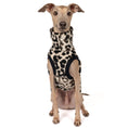 Load image into Gallery viewer, Fleece Shirt Iggy Leo – ergonomischer Schnitt für Dackel und Windspiele – handgefertigte Hundekleidung
