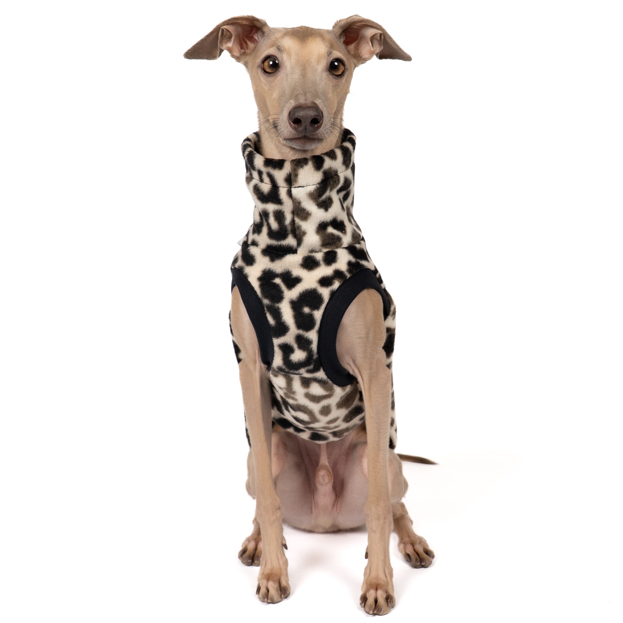 Fleece Shirt Iggy Leo – ergonomischer Schnitt für Dackel und Windspiele – handgefertigte Hundekleidung
