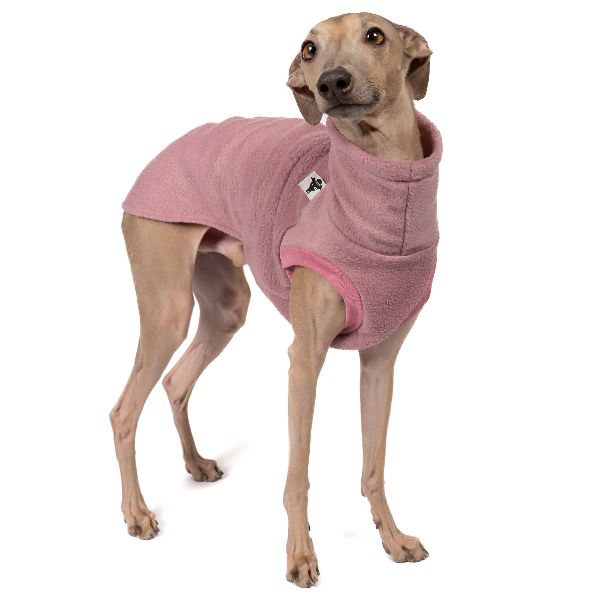 FLEECE SHIRT Iggy Mulberry