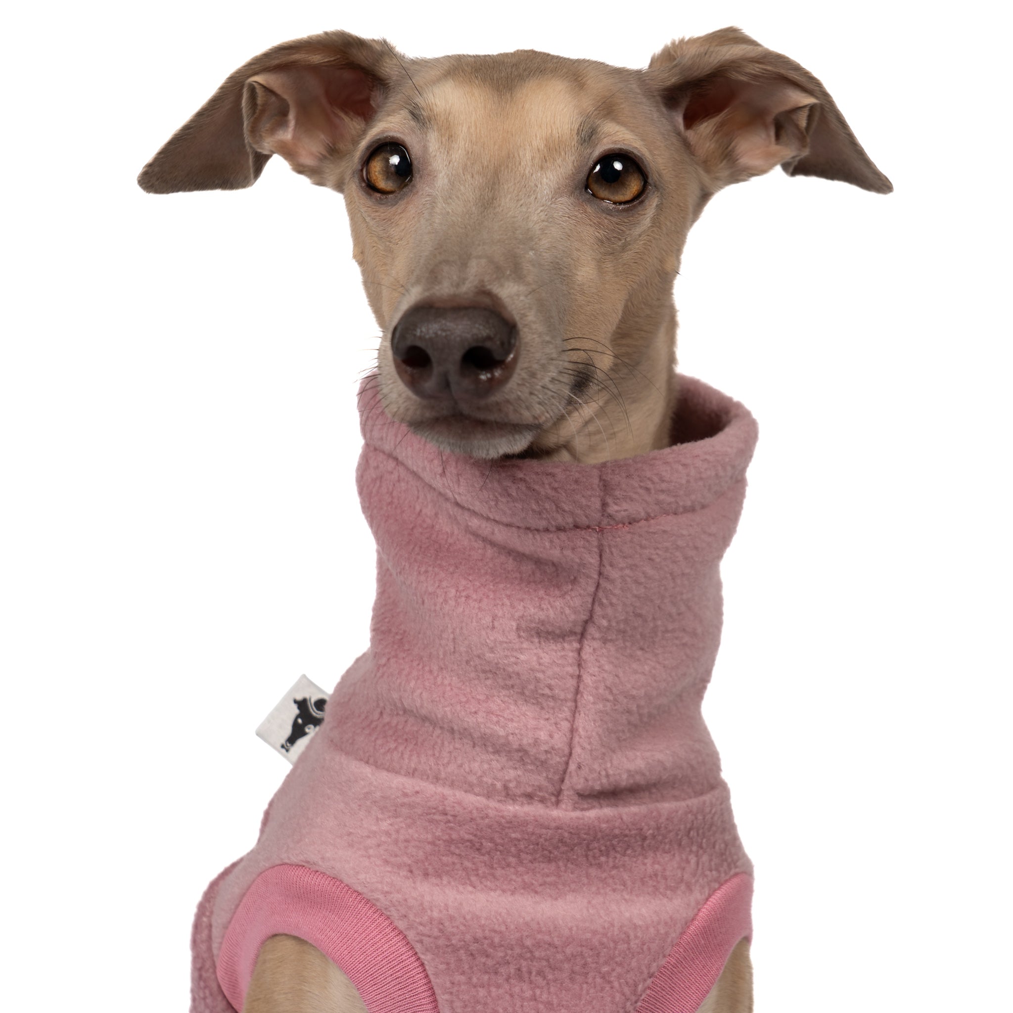 FLEECE SHIRT Iggy Mulberry