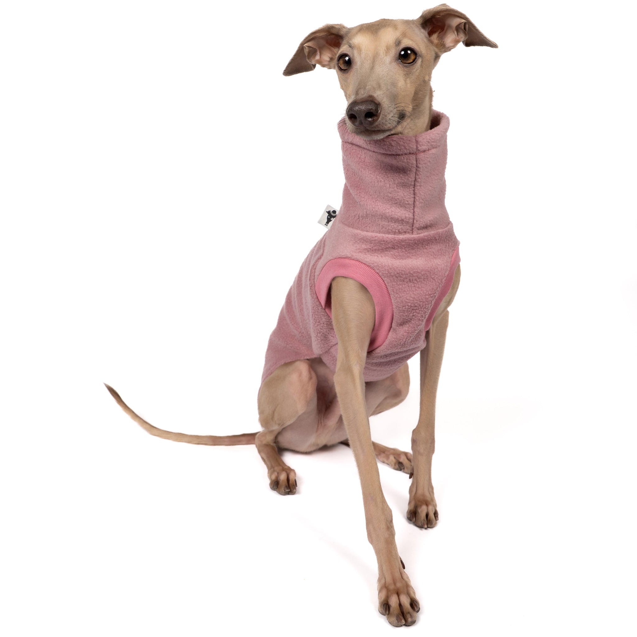 FLEECE SHIRT Iggy Mulberry