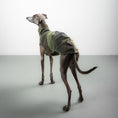 Load image into Gallery viewer, FLEECE SHIRT Iggy Camouflage
