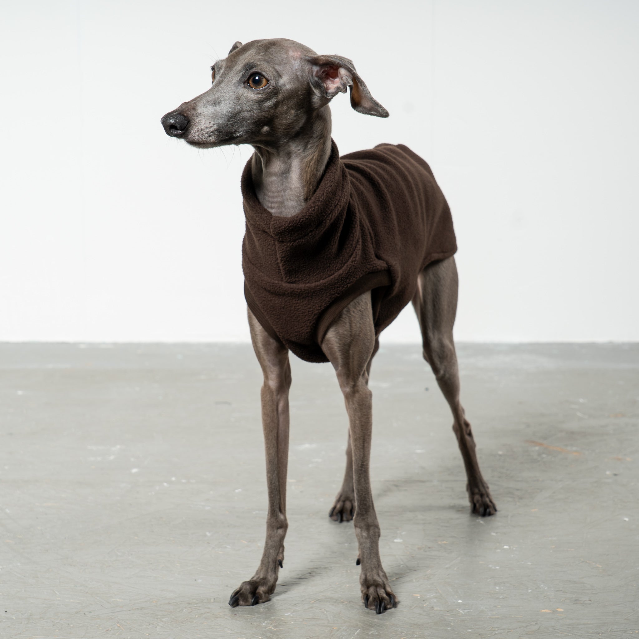 Fleece Shirt Iggy Espresso – ergonomischer Schnitt für Dackel und Windspiele – handgefertigte Hundekleidung