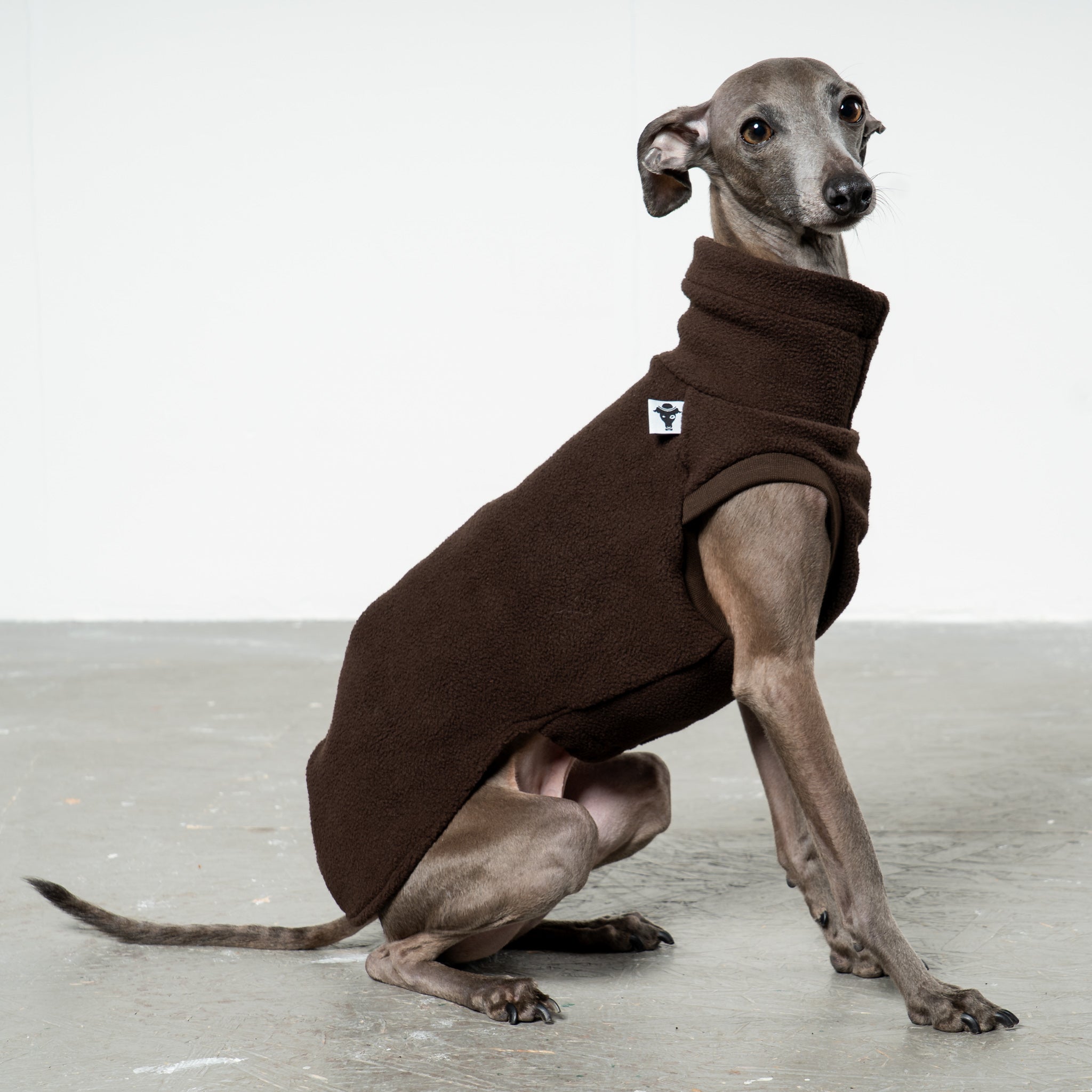 Fleece Shirt Iggy Espresso – Ganzkörperansicht – stilvolle Hundekleidung für Dackel und Italienische Windspiele
