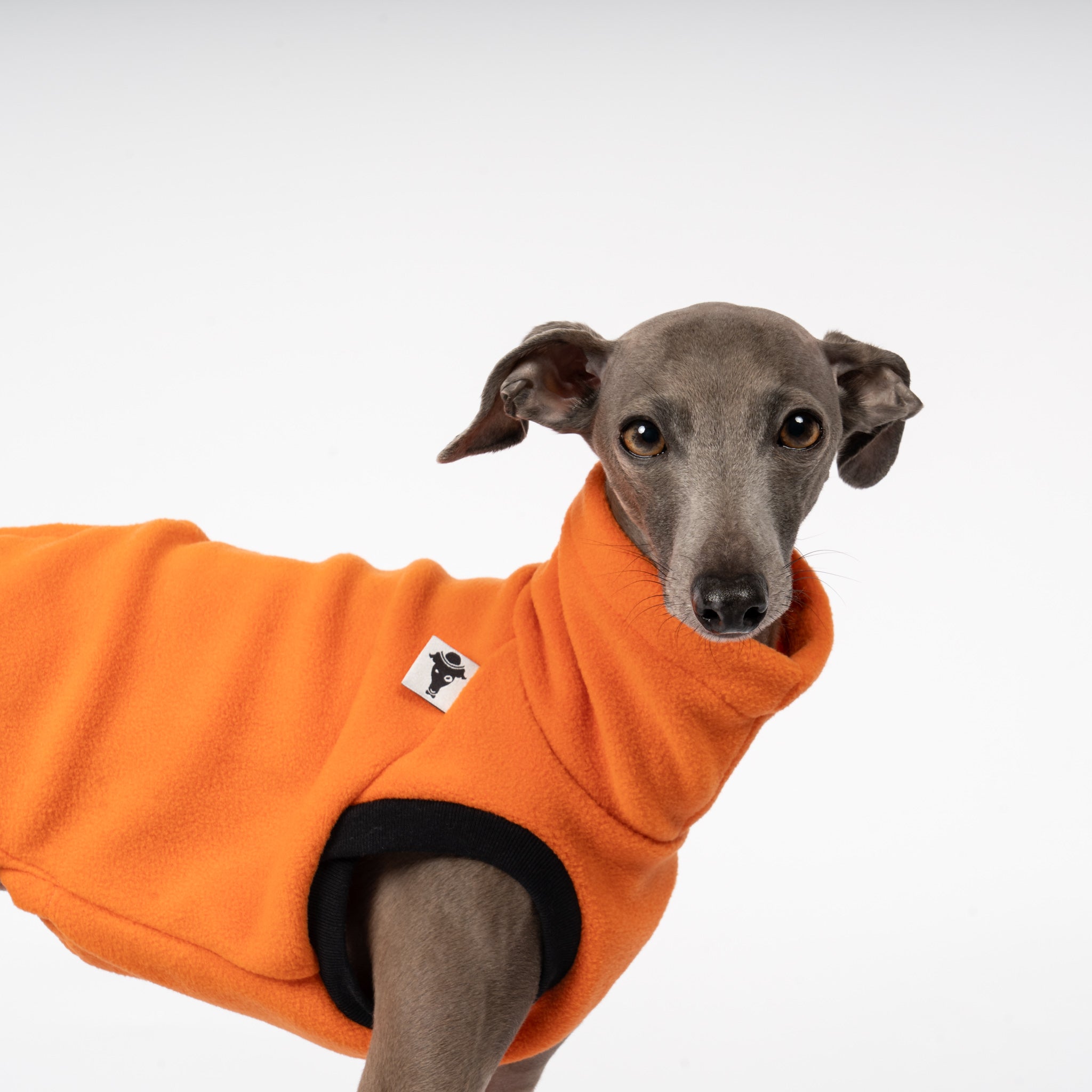 Fleece Shirt Iggy Orange – ergonomischer Schnitt für Dackel und Windspiele – handgefertigte Hundekleidung