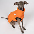 Load image into Gallery viewer, Fleece Shirt Iggy Orange – Close-up am Hund – hochwertige Hundekleidung von Karma Hund
