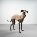 Load image into Gallery viewer, FLEECE SHIRT Iggy Sand Beige
