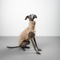 Load image into Gallery viewer, FLEECE SHIRT Iggy Sand Beige
