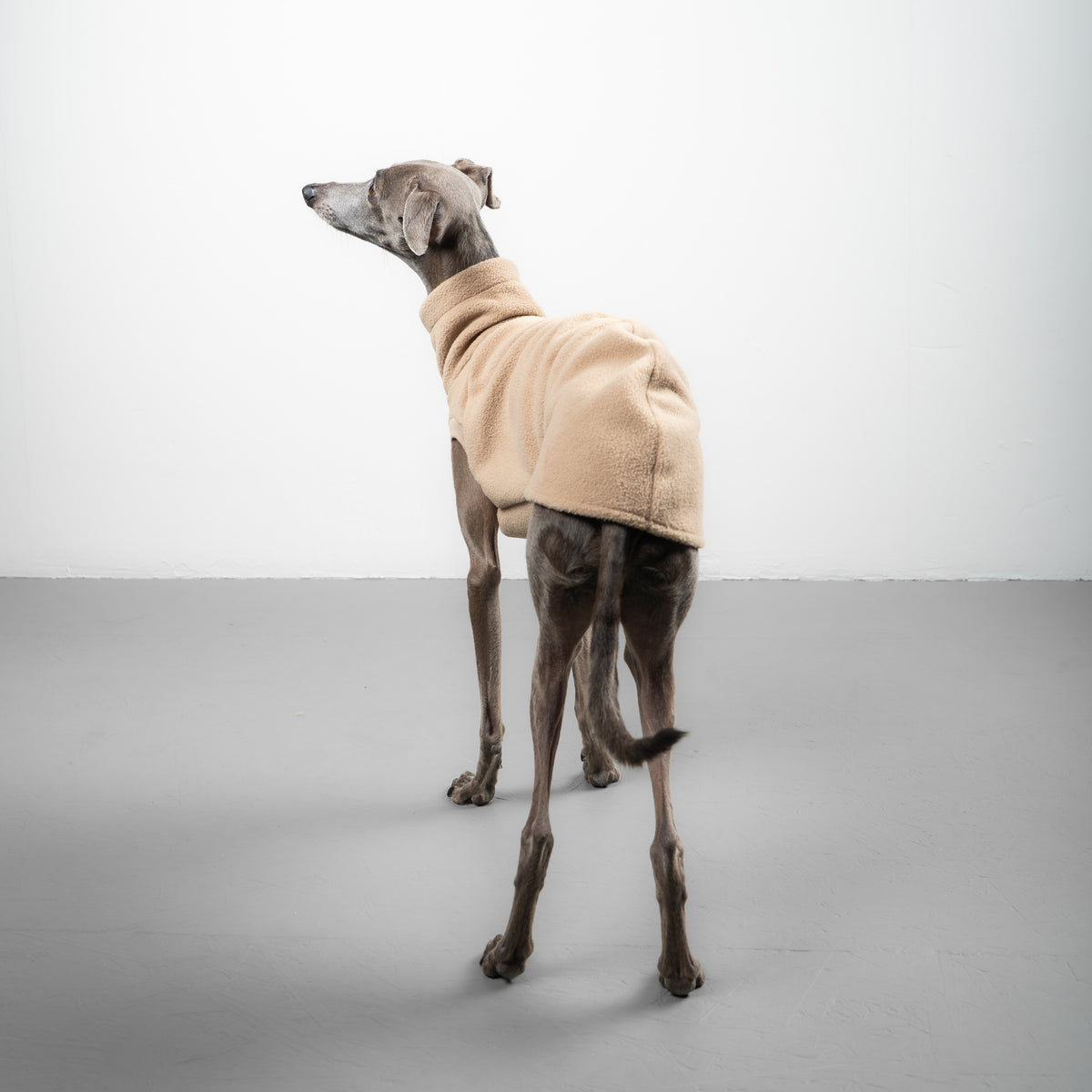FLEECE SHIRT Iggy Sand Beige