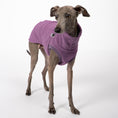 Load image into Gallery viewer, Fleece Shirt Iggy Violet – Close-up am Hund – hochwertige Hundekleidung von Karma Hund
