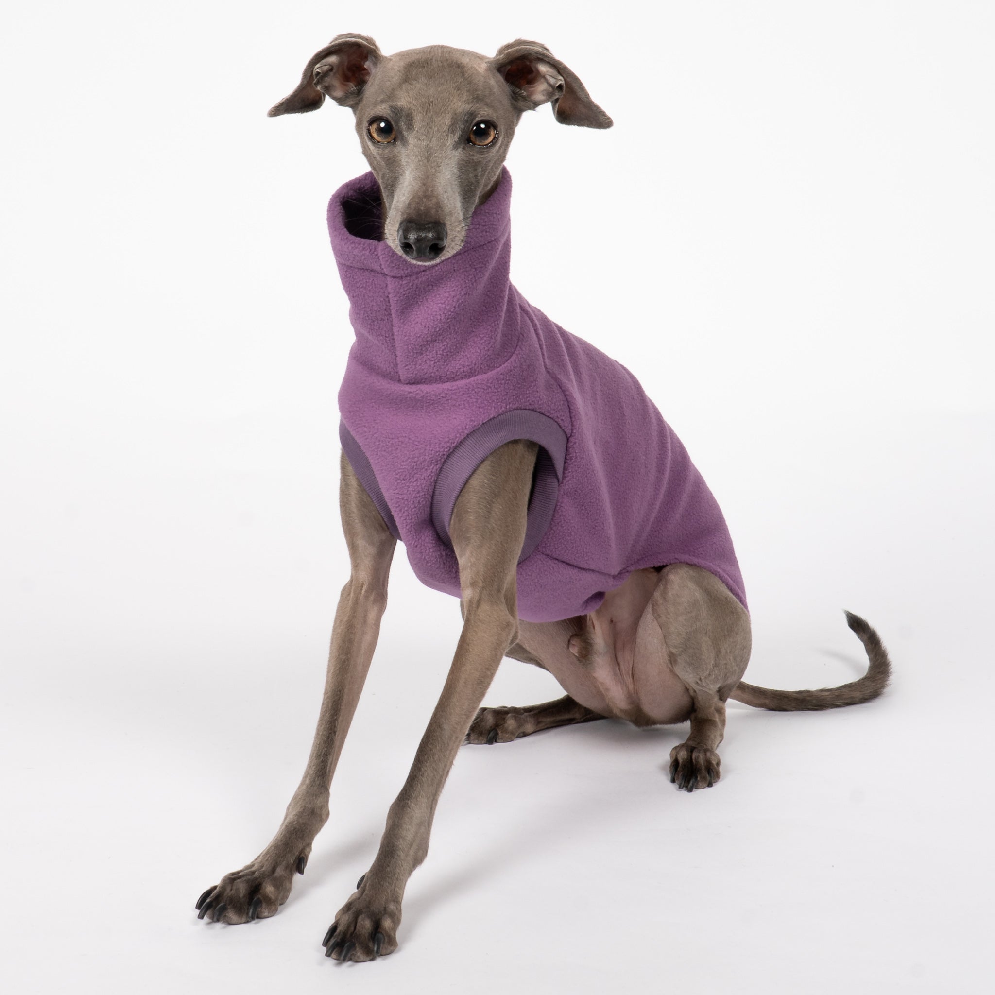 Fleece Shirt Iggy Violet – ergonomischer Schnitt für Dackel und Windspiele – handgefertigte Hundekleidung