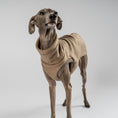 Load image into Gallery viewer, Fleece Shirt Iggy Walnut – ergonomischer Schnitt für Dackel und Windspiele – handgefertigte Hundekleidung

