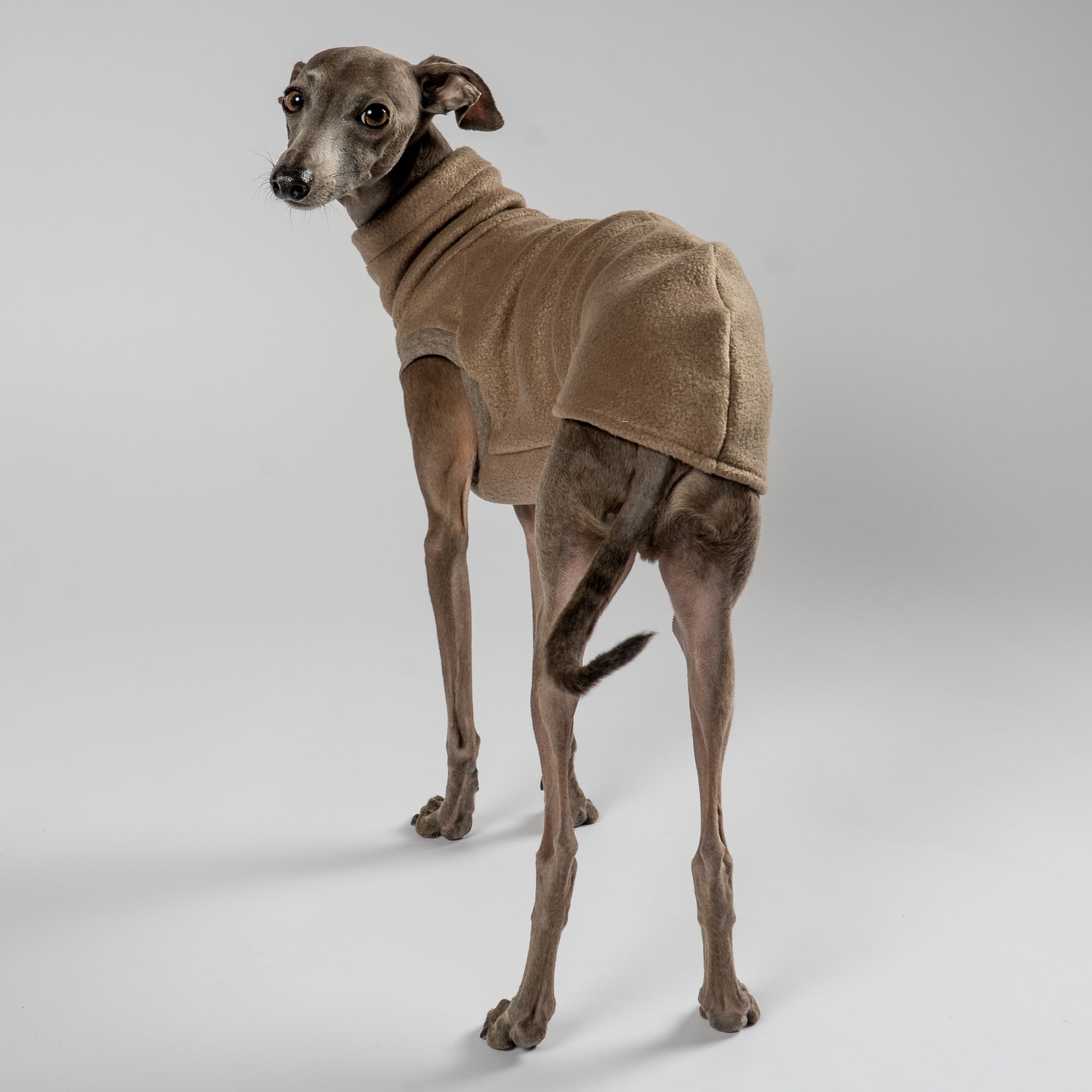 Fleece Shirt Iggy Walnut – Hundekleidung für Dackel, Windspiele und Whippets – Rückenansicht