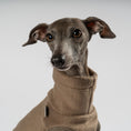 Load image into Gallery viewer, Fleece Shirt Iggy Walnut – Close-up am Hund – hochwertige Hundekleidung von Karma Hund
