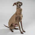 Load image into Gallery viewer, Fleece Shirt Iggy Walnut – ergonomischer Schnitt für Dackel und Windspiele – handgefertigte Hundekleidung
