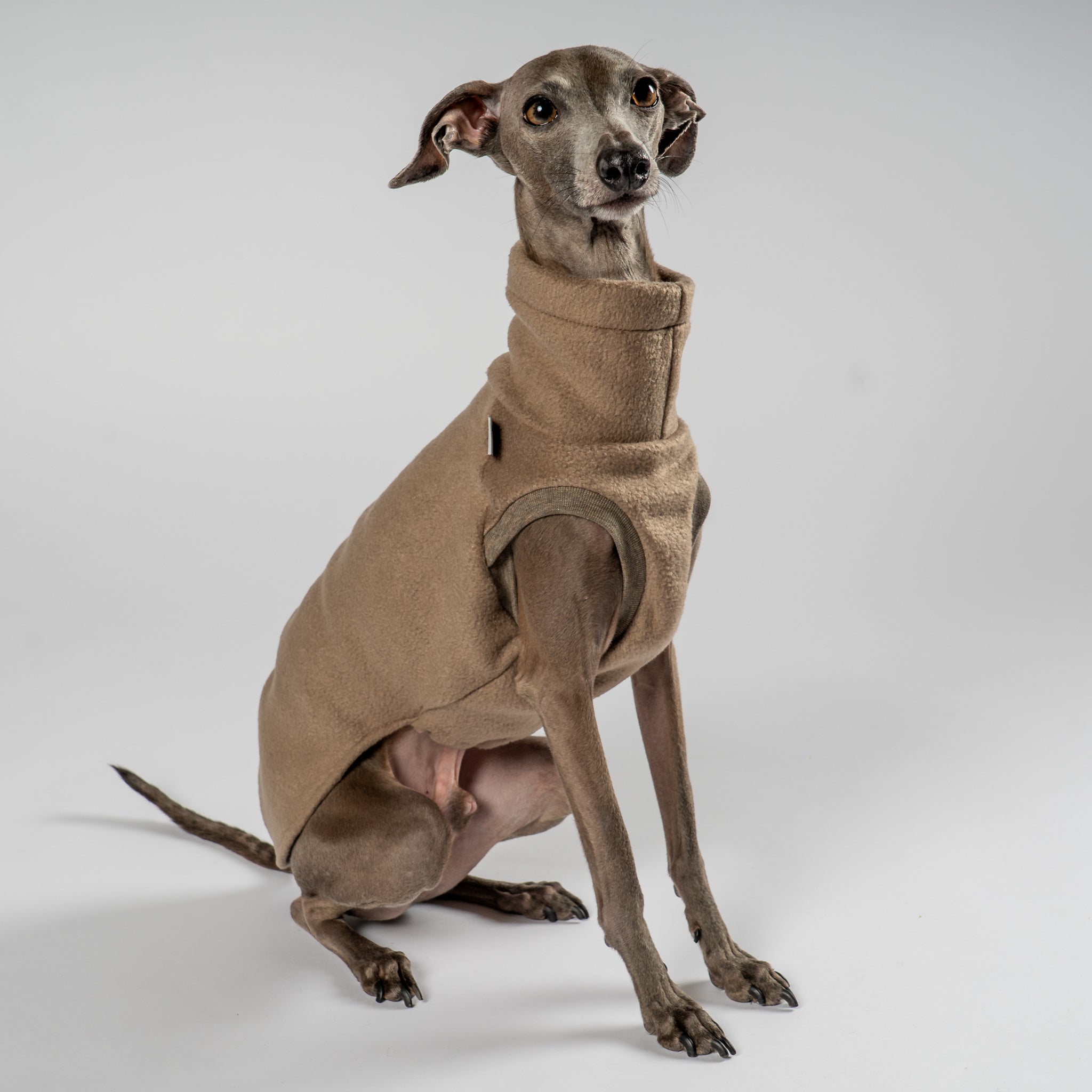 Fleece Shirt Iggy Walnut – ergonomischer Schnitt für Dackel und Windspiele – handgefertigte Hundekleidung