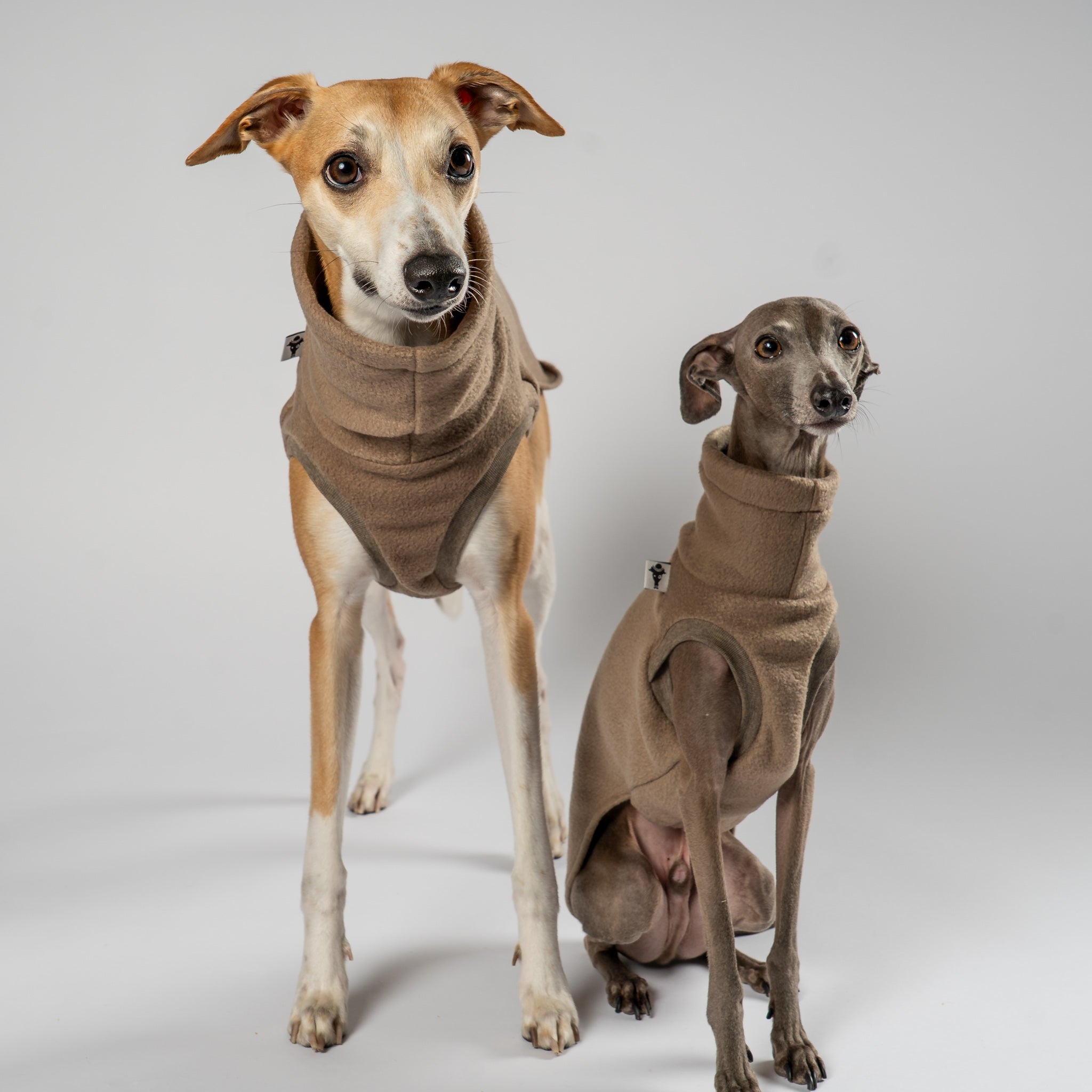 FLEECE SHIRT Iggy Walnut