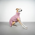 Load image into Gallery viewer, FLEECE SHIRT Windhund Altrosa
