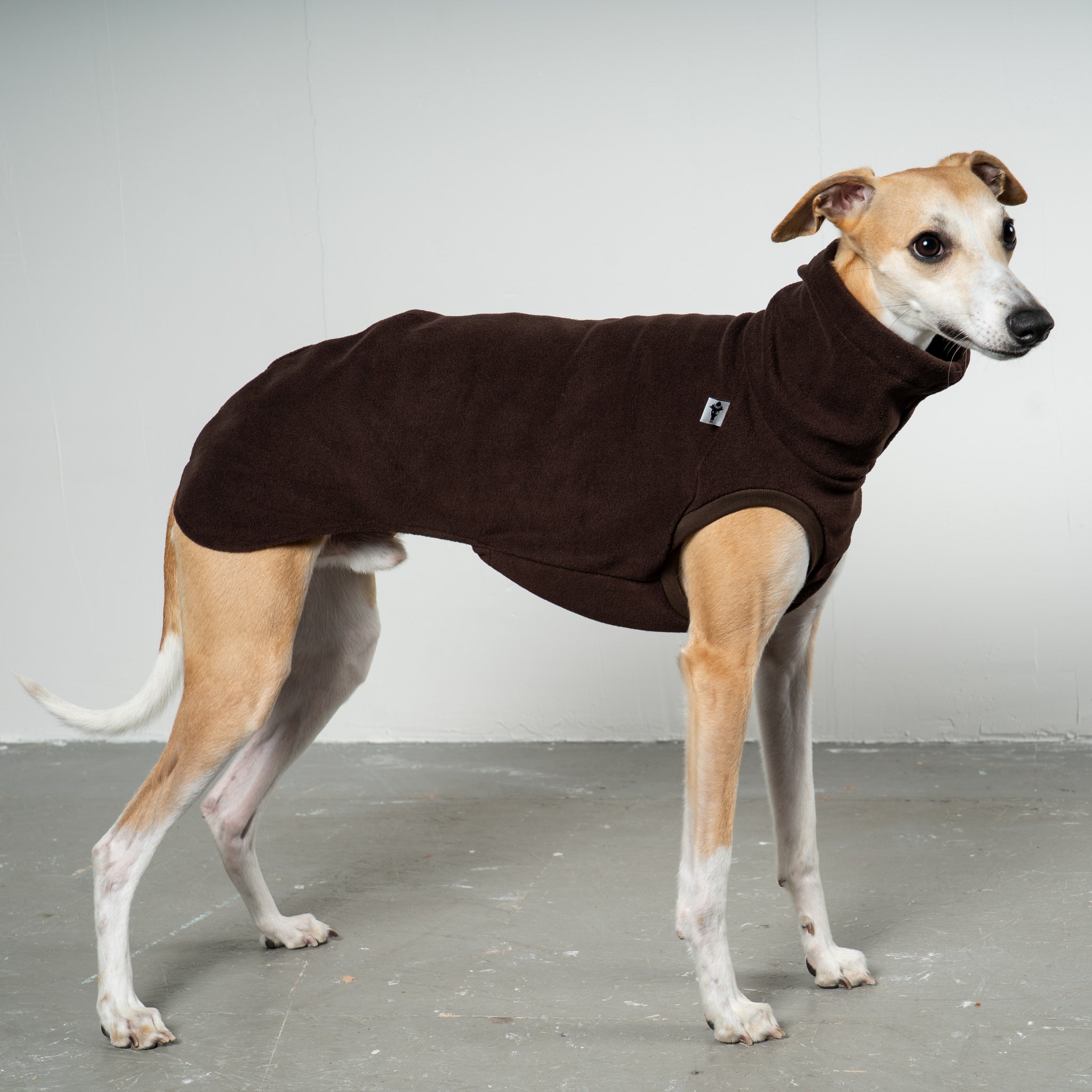 Fleece Shirt Windhund Espresso – hochwertige Hundekleidung für Dackel, Windspiele und Windhunde von Karma Hund Berlin – Ganzkörperansicht am Hund