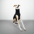 Load image into Gallery viewer, FLEECE SHIRT Windhund Schwarz
