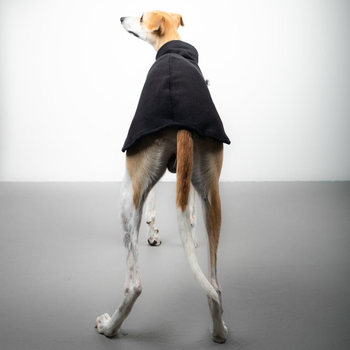 FLEECE SHIRT Windhund Schwarz