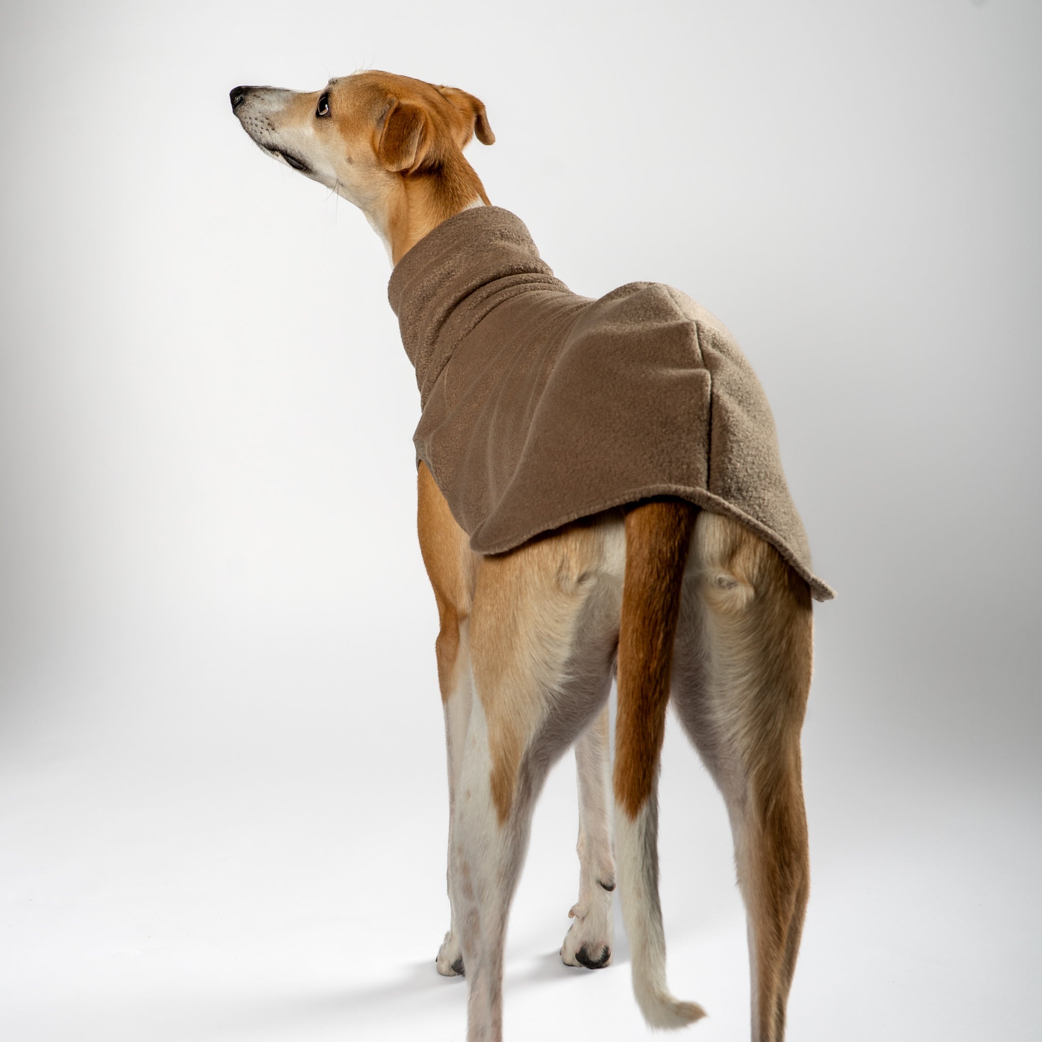 Fleece Shirt Windhund Walnut – Hundekleidung für Dackel, Windspiele und Whippets – Rückenansicht