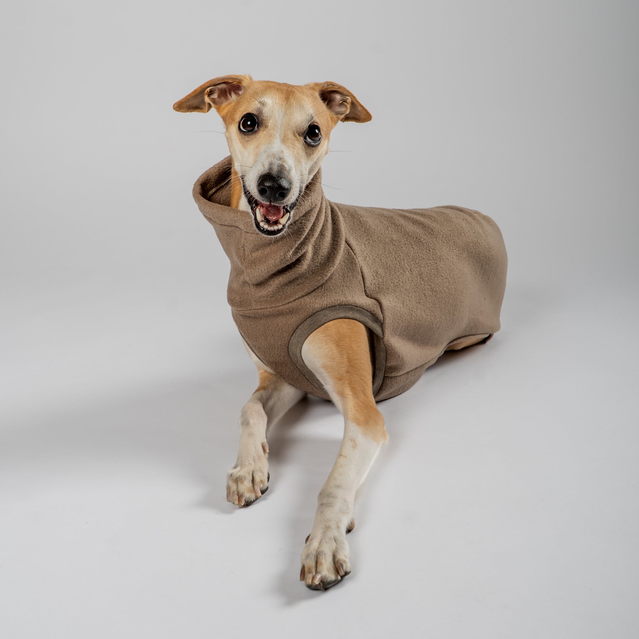 Fleece Shirt Windhund Walnut – ergonomischer Schnitt für Dackel und Windhunde – handgefertigte Hundekleidung
