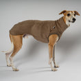Load image into Gallery viewer, Fleece Shirt Windhund Walnut – Hundepullover und Hundekleidung für Dackel und Windhunde – Seitenansicht am Hund
