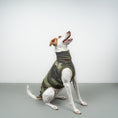 Load image into Gallery viewer, FLEECE SHIRT Windhund Camouflage
