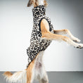 Load image into Gallery viewer, FLEECE SHIRT Windhund Leo
