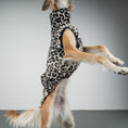 Load image into Gallery viewer, FLEECE SHIRT Windhund Leo
