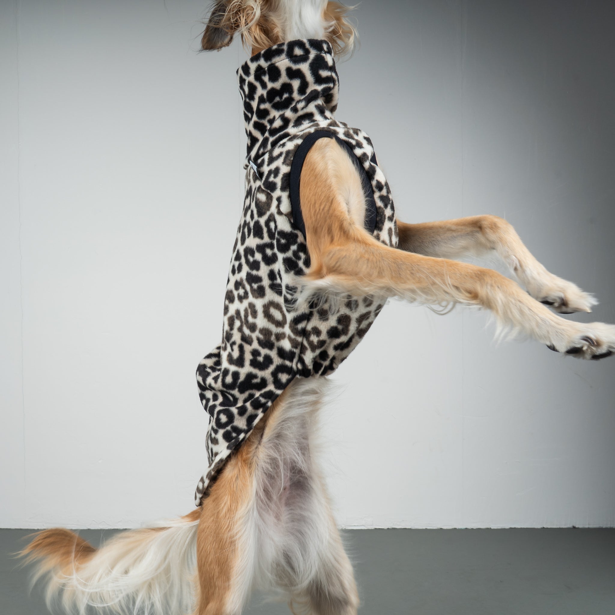 FLEECE SHIRT Windhund Leo