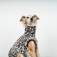 Load image into Gallery viewer, FLEECE SHIRT Windhund Leo
