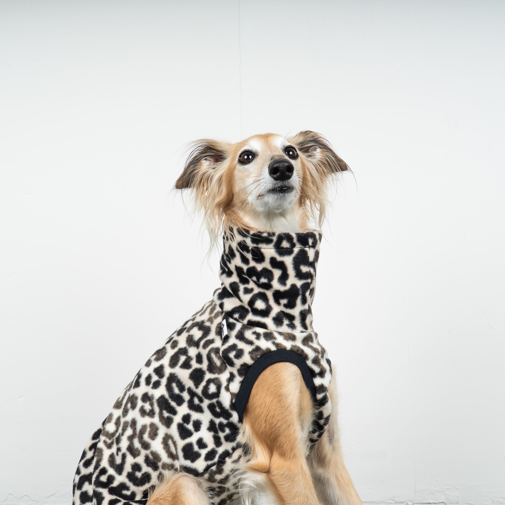 FLEECE SHIRT Windhund Leo