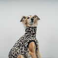 Load image into Gallery viewer, FLEECE SHIRT Windhund Leo
