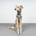 Load image into Gallery viewer, FLEECE SHIRT Windhund Leo
