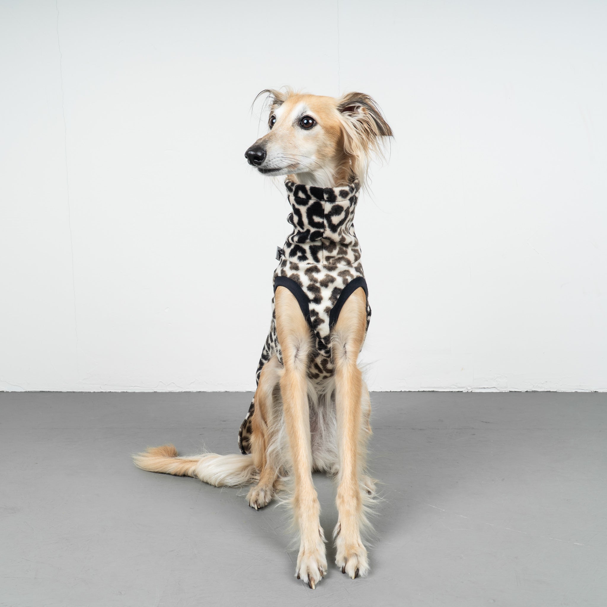 FLEECE SHIRT Windhund Leo