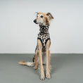 Load image into Gallery viewer, FLEECE SHIRT Windhund Leo
