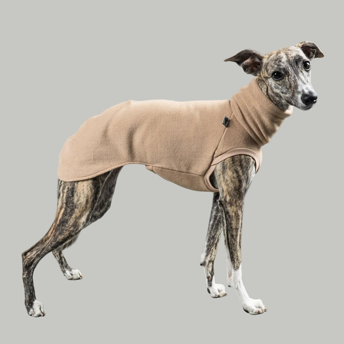 FLEECE SHIRT Windhund Sand Beige