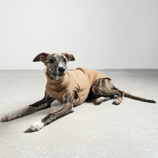 FLEECE SHIRT Windhund Camel