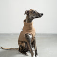 Load image into Gallery viewer, FLEECE SHIRT Windhund Camel
