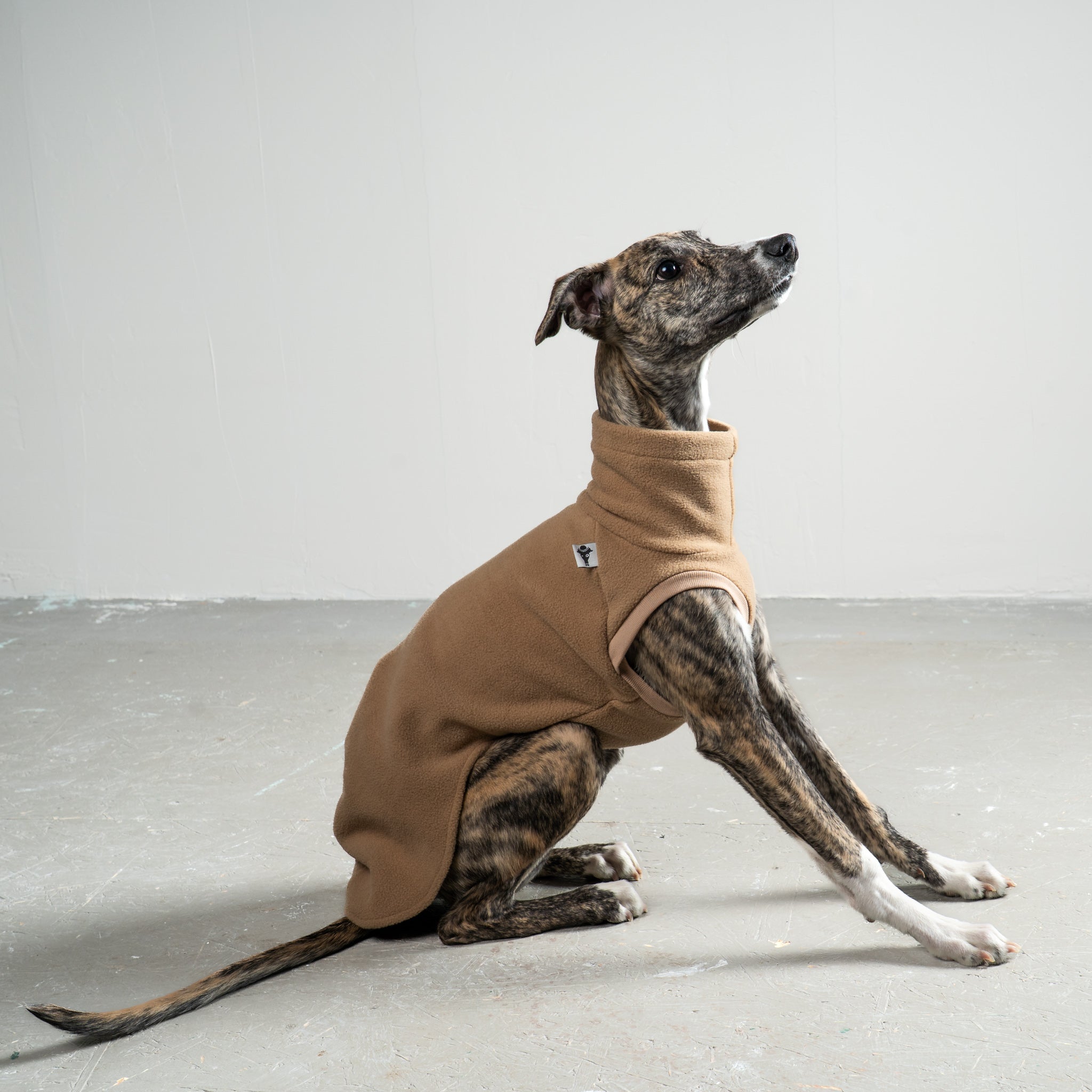 FLEECE SHIRT Windhund Camel
