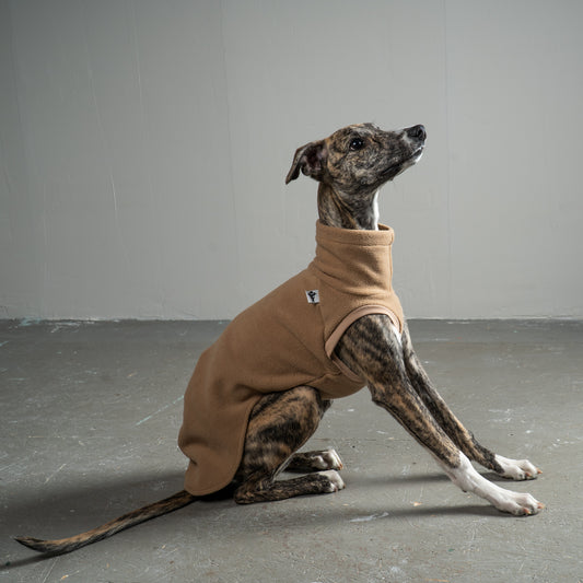 Fleece Shirt Windhund Camel – hochwertige Hundekleidung für Dackel, Windspiele und Windhunde von Karma Hund Berlin – Ganzkörperansicht am Hund