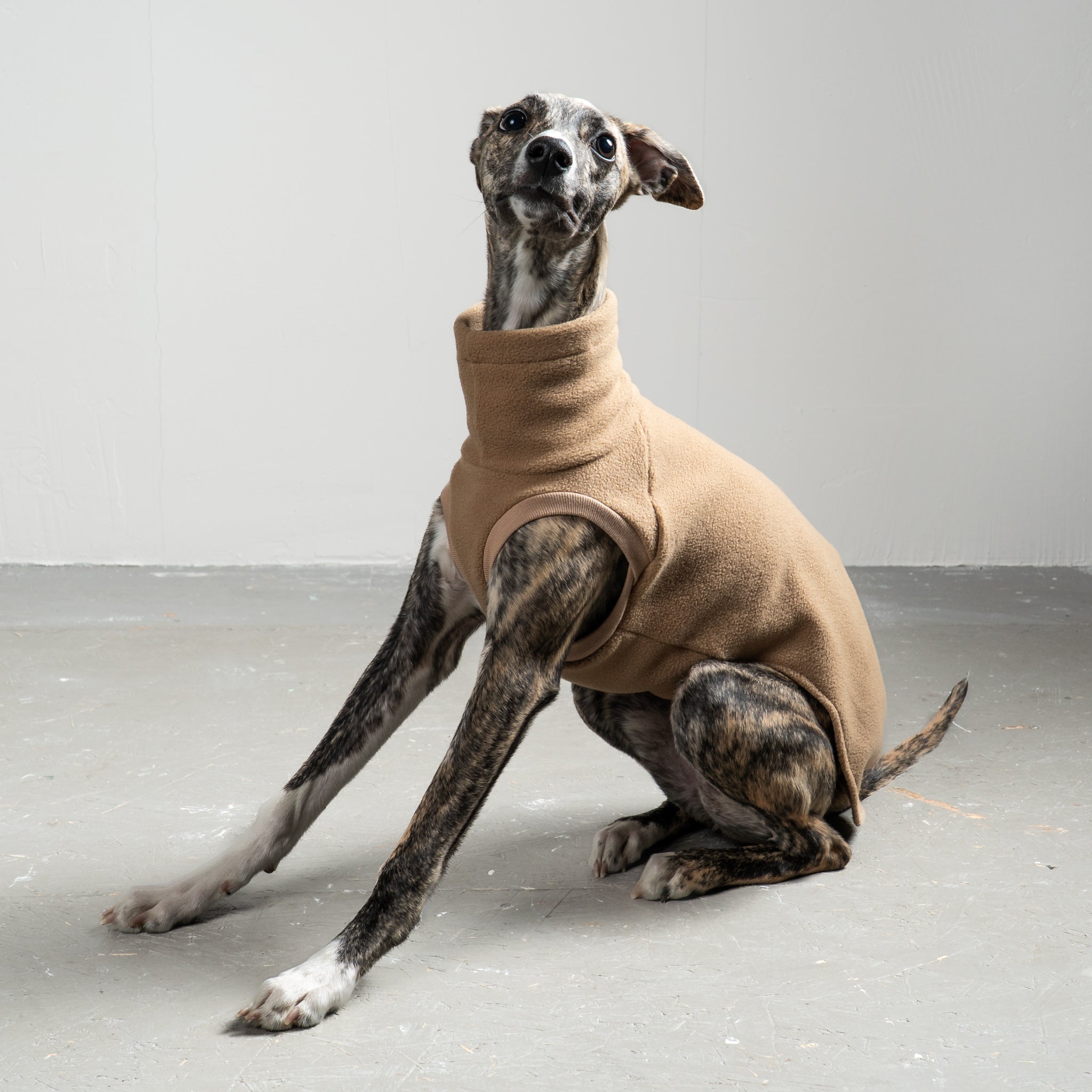 FLEECE SHIRT Windhund Camel